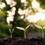 Titulaciones en sostenibilidad de Grupo Tarraco Formación: un camino hacia el futuro verde