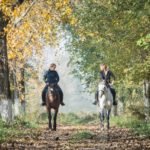 ¿Cuál es la diferencia entre hípica y equitación?